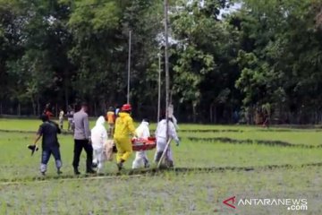 Jebakan tikus beraliran listrik di Sragen telan korban ke-9