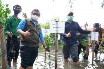 HCSPN, jurus pemerintah bangun kecintaan terhadap puspa dan satwa Indonesia