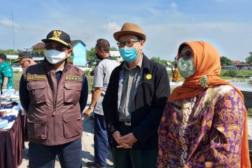 Dukung swasembada gula, Sidoarjo siapkan 25 hektare lahan kebun benih