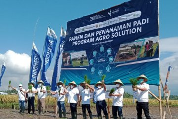 Pupuk Kaltim kembangkan Agro Solution pada 15 kecamatan di Jember