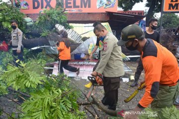 BPBD: Angin kencang terjang sejumlah wilayah Banyumas