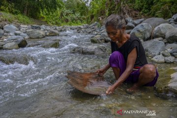 Pendulang emas tradisional di Donggala