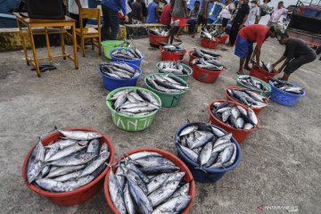 Ekspor perikanan bermasalah, KKP perlu yakinkan pasar mancanegara