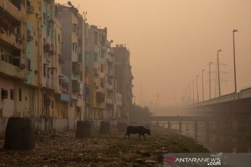 Kualitas udara New Delhi berada di level terburuk tahun ini