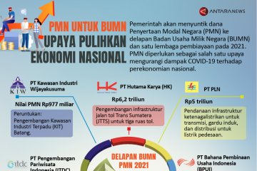 PMN untuk BUMN, upaya pulihkan ekonomi nasional