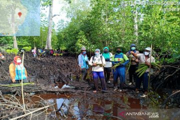Luhut tegaskan program rehabilitasi mangrove terukur dan terintegrasi