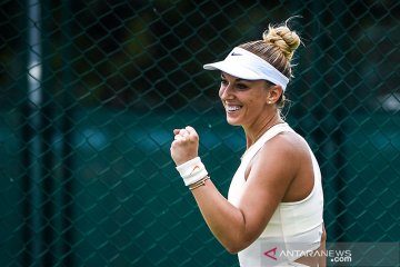 Lisicki hadapi jalan panjang pemulihan cedera lutut