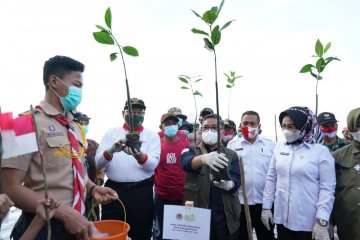 Wamen LHK Tinjau program PKPM di Sulawesi Tenggara