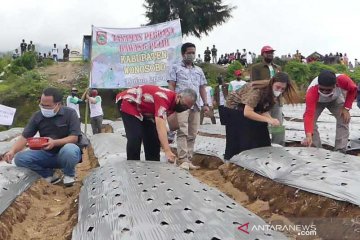 Wonosobo bertekad jadi penyangga kebutuhan bawang putih nasional