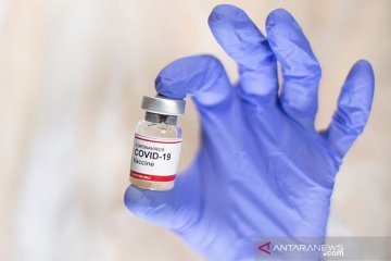 Calon vaksin COVID Australia hasilkan respons antibodi tahap awal