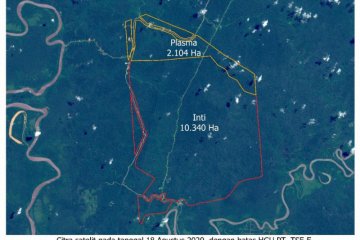 Korindo Group bantah lakukan pembakaran hutan di Papua