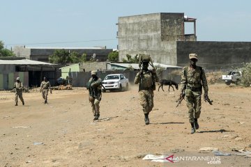 Tentara Ethiopia bunuh 15 pemberontak Tigray, tangkap delapan lainnya