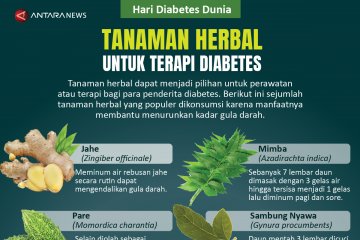 Tanaman herbal untuk terapi diabetes