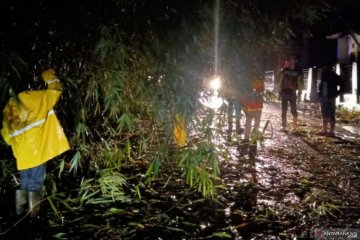 Jalur utama selatan Cianjur kembali tertutup pohon tumbang