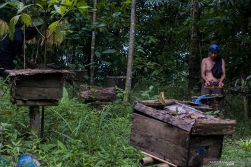 KLHK sebut konservasi hutan bagian dari upaya jaga kelestarian lebah