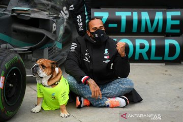Jelang GP Bahrain, Hamilton desak F1 suarakan HAM