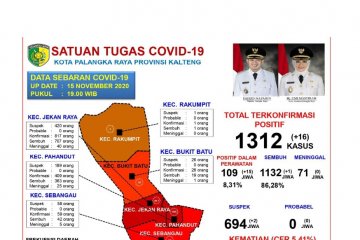 Pasien positif COVID-19 di Palangka Raya bertambah 16 orang