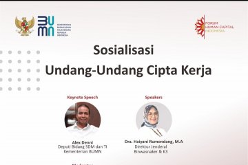 Dirjen sebut milenial lebih inginkan pasar tenaga kerja yang fleksibel