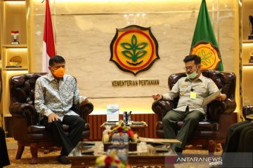 Kementan-asosiasi rumuskan strategi dongkrak budi daya dan ekspor aren