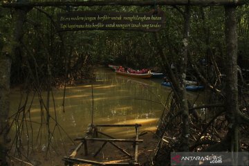Cerita Karst China dan Mangrove Balikpapan