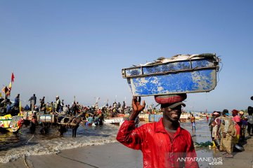 500 nelayan di Senegal terinfeksi penyakit kulit misterius