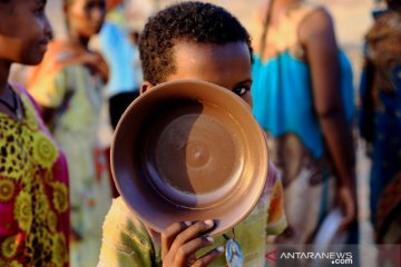 Hampir 20 juta orang hadapi krisis pangan tahun lalu