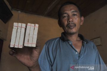 Komoditas Gambir di Babat Toman Muba