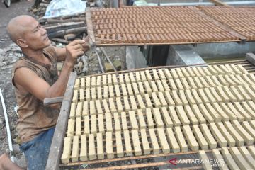 Komoditas Gambir di Babat Toman Muba