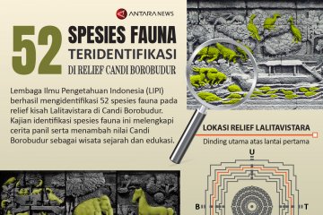 52 spesies fauna teridentifikasi di relief Candi Borobudur