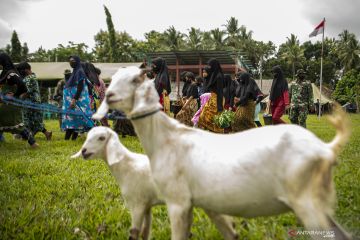 Evakuasi Warga Di Area Pertempuran