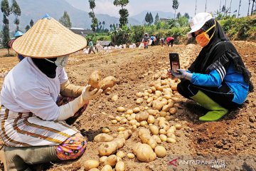 Kementan: Petani milenial mulai terapkan internet of things