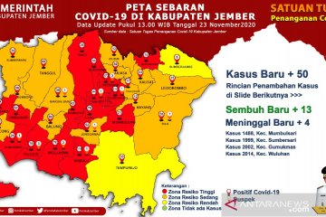 15 Kecamatan di Jember zona merah penyebaran COVID-19