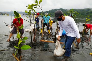 Warga tanam mangrove dengan teknik klaster di perairan Nusakambangan
