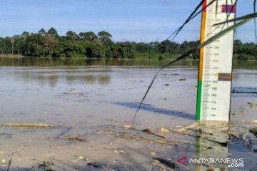 Sepekan terakhir debit air Sungai Batanghari meningkat signifikan