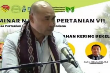 NTT alokasikan Rp1,1 triliun setiap tahun untuk pengadaan pakan ternak