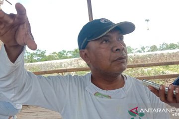 Pemkab Malra galakkan "Ve