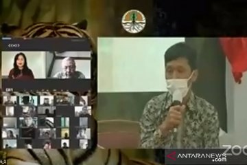 Pakar hewan liar: Harimau bisa beradaptasi dengan manusia