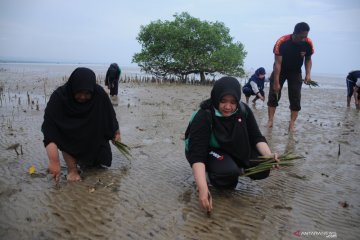 Hari Menanam Pohon Indonesia