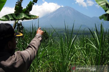 Gunung Semeru luncurkan guguran lava pijar