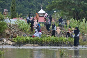 Penghijauan kawasan pesisir