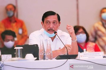 Luhut: Aturan SWF rampung bulan depan, Januari 2021 mulai beroperasi