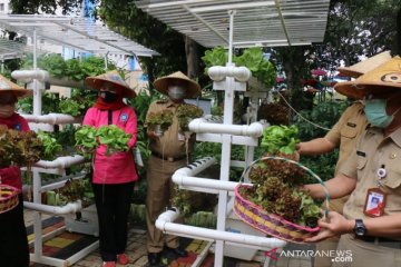 Jakarta Barat juga panen serentak ratusan kilo sayuran dan ikan