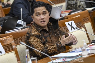 Erick Thohir ungkap 35 BUMN masuk dalam restrukturisasi/optimasi PPA