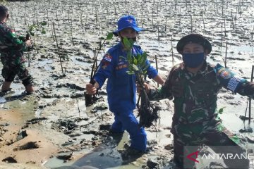 Sat Polair Polres Bengkayang tanam mangrove cegah abrasi pantai