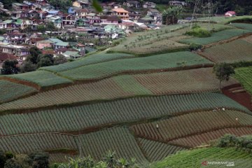 BKP: Indeks ketahan pangan sempat turun saat pandemi COVID-19