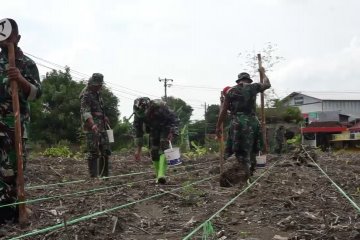 Dukung swasembada jagung Kodim Pekalongan buka lahan tidur