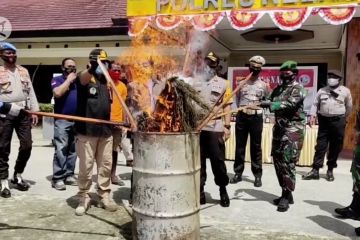 Polres Keerom musnahkan ratusan botol miras dan puluhan ganja