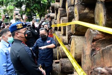Operasi gabungan amankan ratusan kayu ilegal di Rimbang Baling