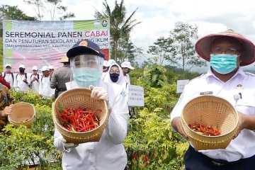 BMKG panen perdana cabai hasil SLI di Temanggung