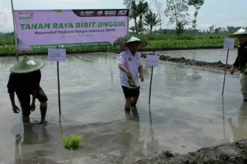 ACT Malang aktifkan program tanam raya bibit unggul